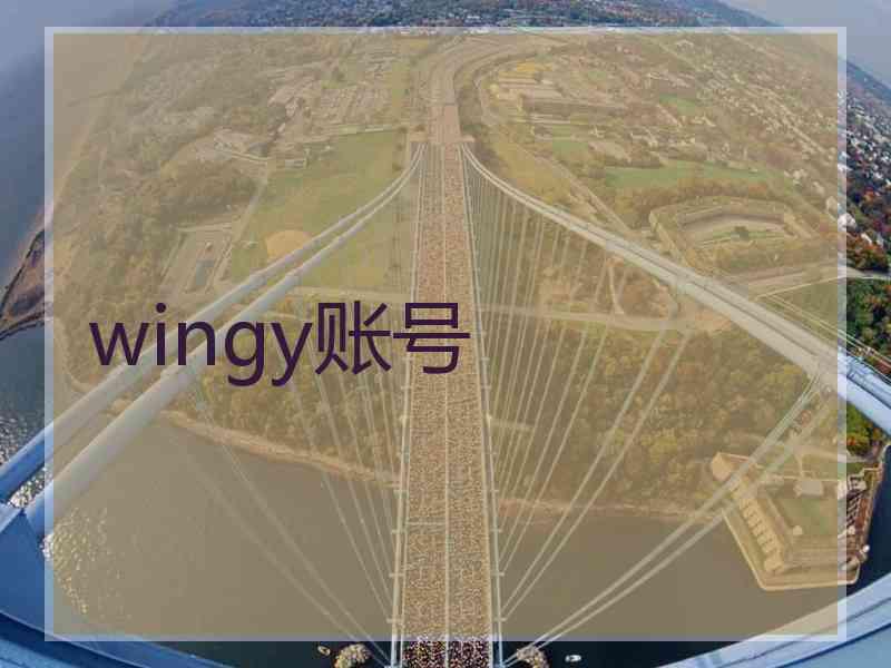 wingy账号