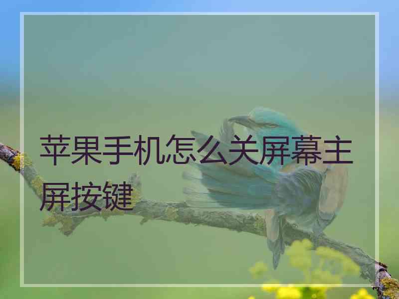 苹果手机怎么关屏幕主屏按键