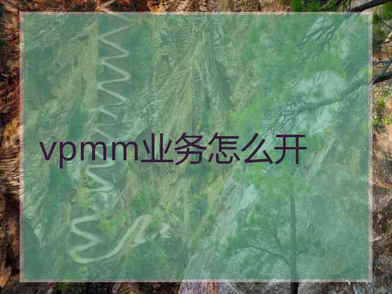 vpmm业务怎么开