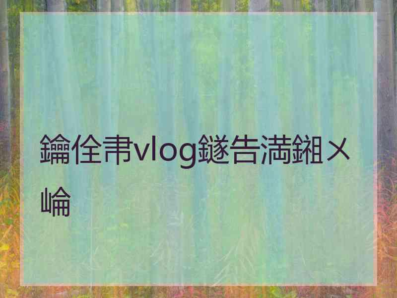 鑰佺帇vlog鐩告満鎺ㄨ崘