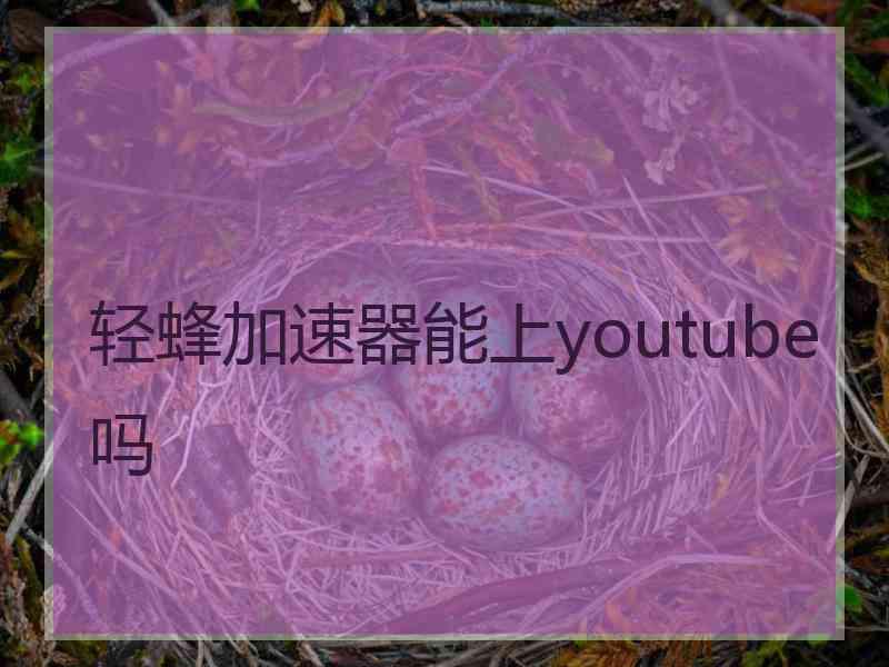 轻蜂加速器能上youtube吗