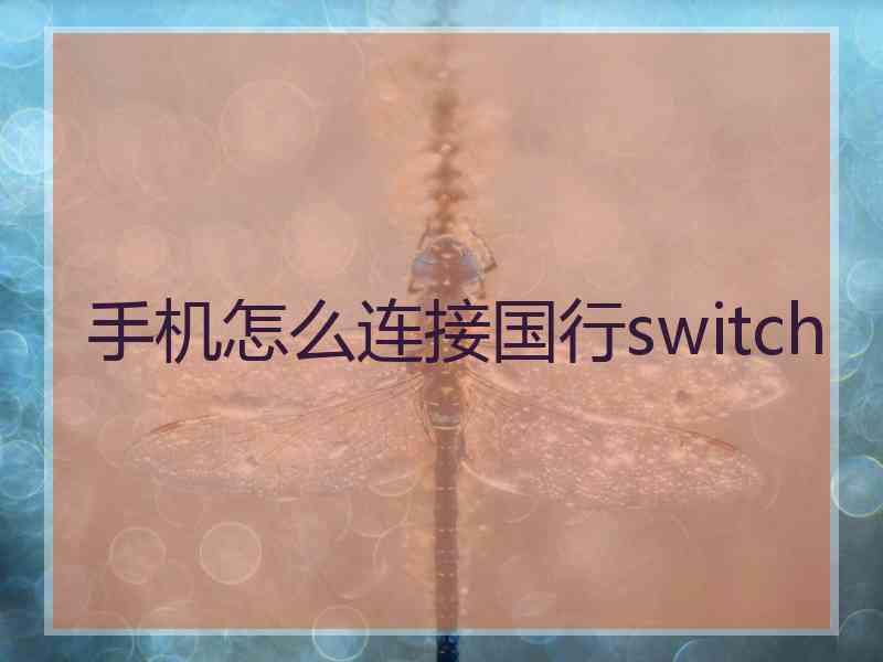 手机怎么连接国行switch