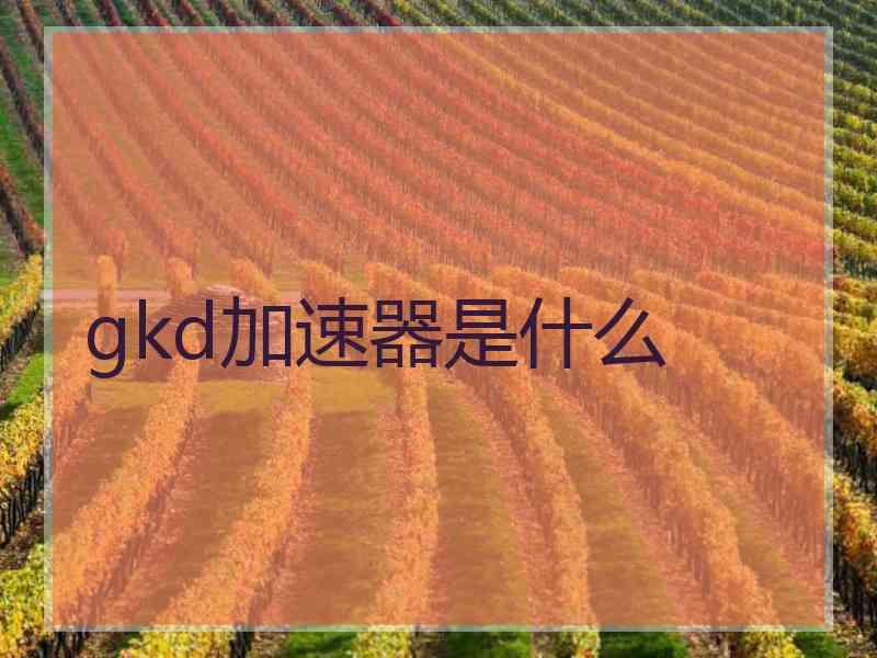 gkd加速器是什么