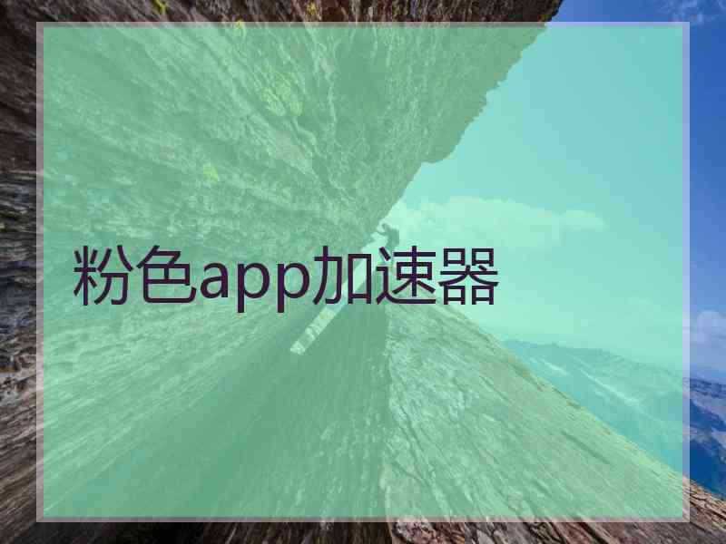 粉色app加速器