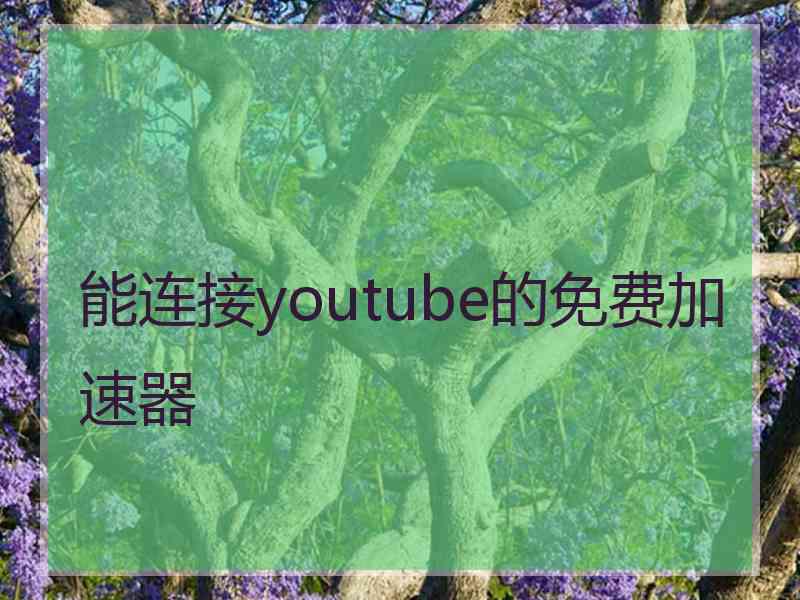 能连接youtube的免费加速器