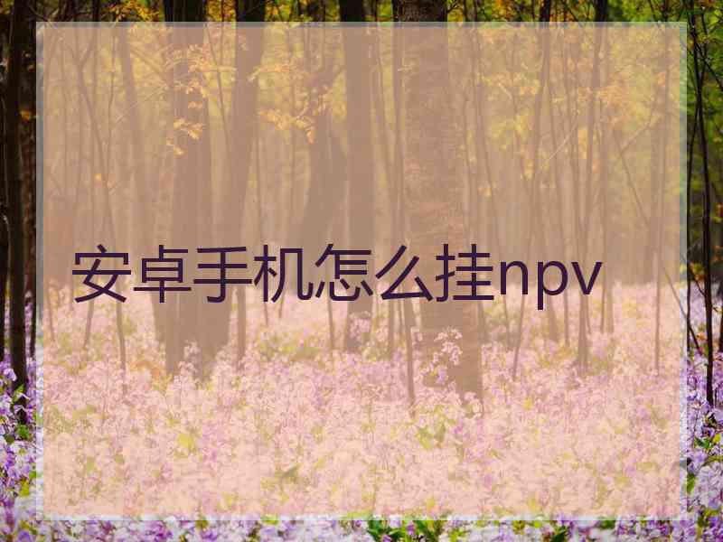 安卓手机怎么挂npv