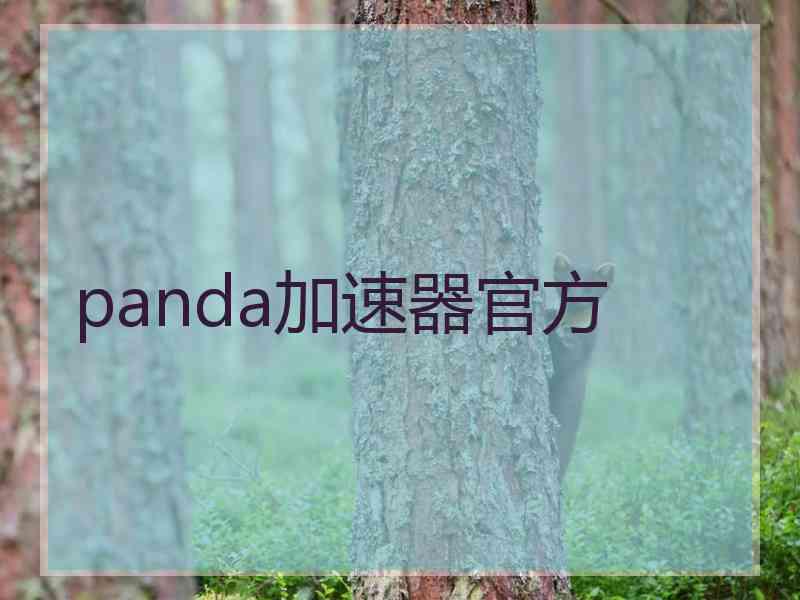 panda加速器官方