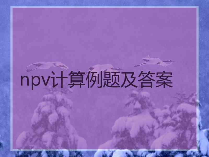 npv计算例题及答案