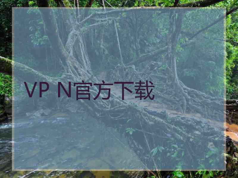 VP N官方下载