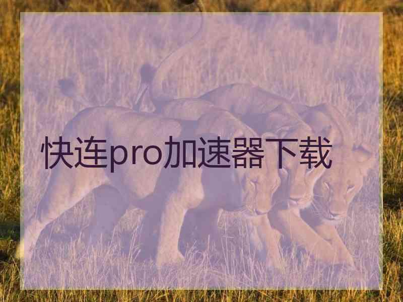 快连pro加速器下载