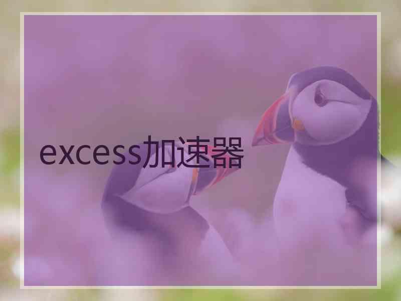 excess加速器