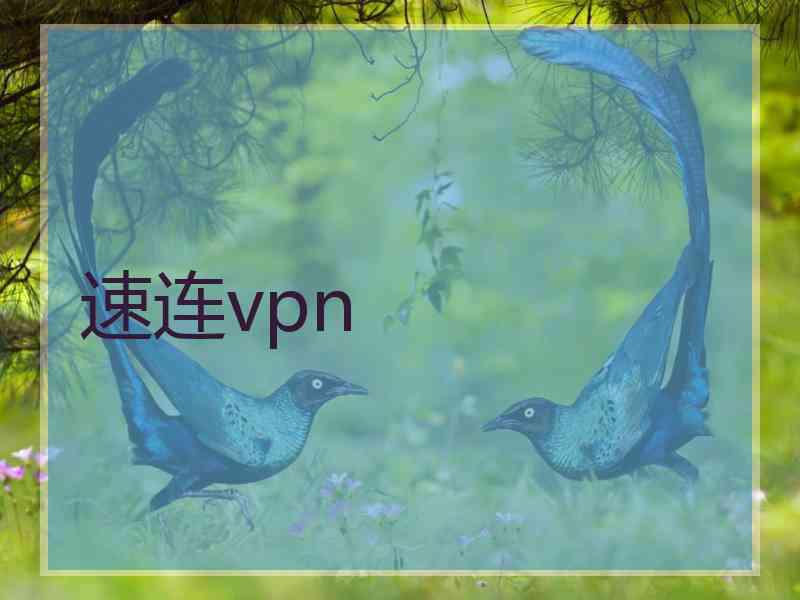 速连vpn