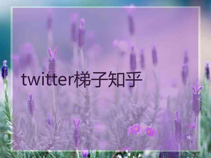 twitter梯子知乎