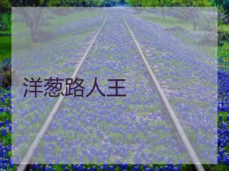 洋葱路人王