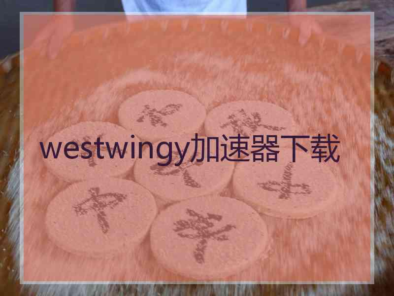 westwingy加速器下载