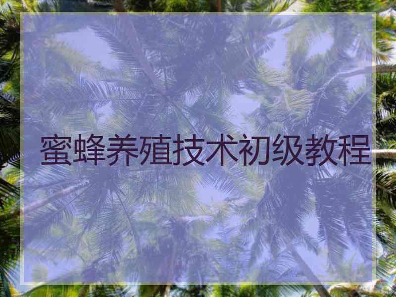 蜜蜂养殖技术初级教程