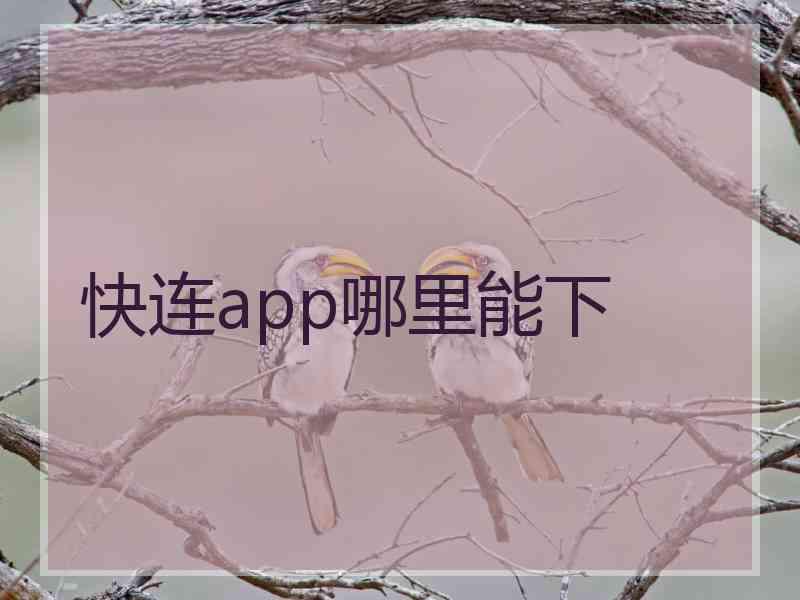 快连app哪里能下