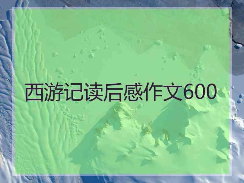 西游记读后感作文600