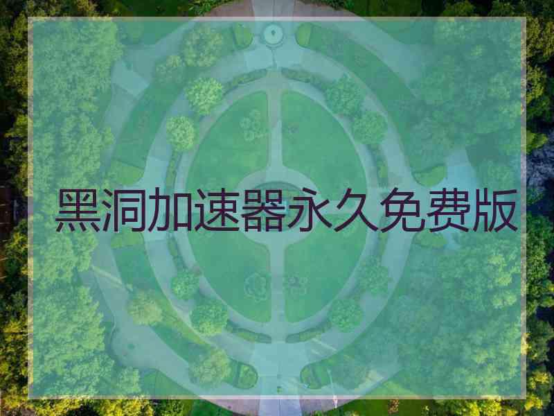 黑洞加速器永久免费版