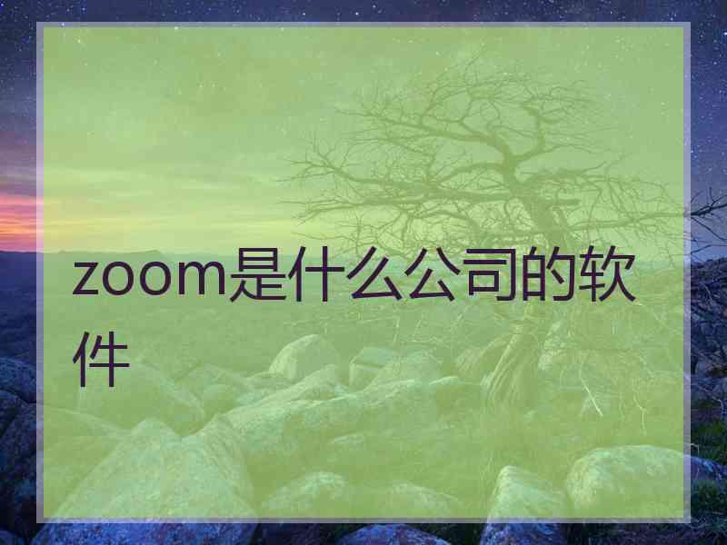 zoom是什么公司的软件