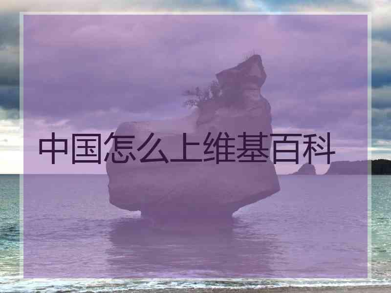 中国怎么上维基百科