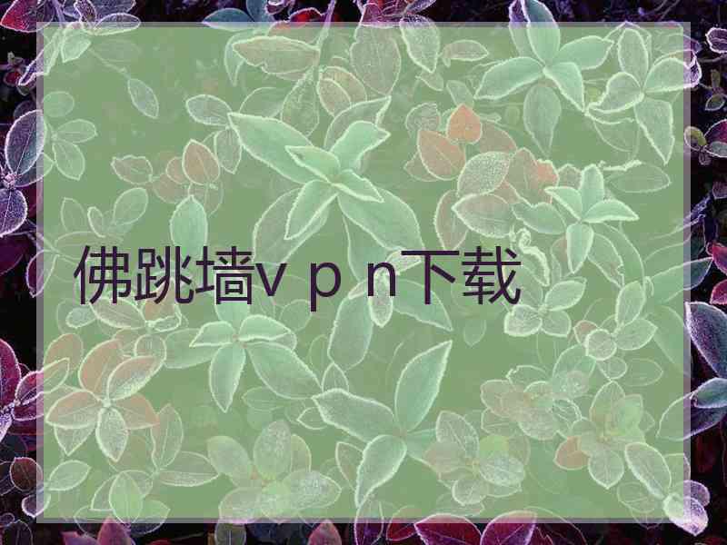 佛跳墙v p n下载