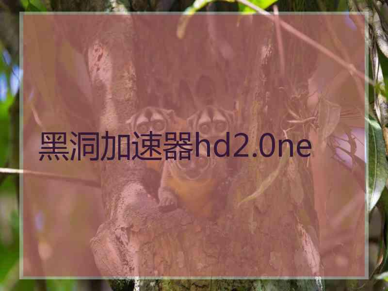 黑洞加速器hd2.0ne