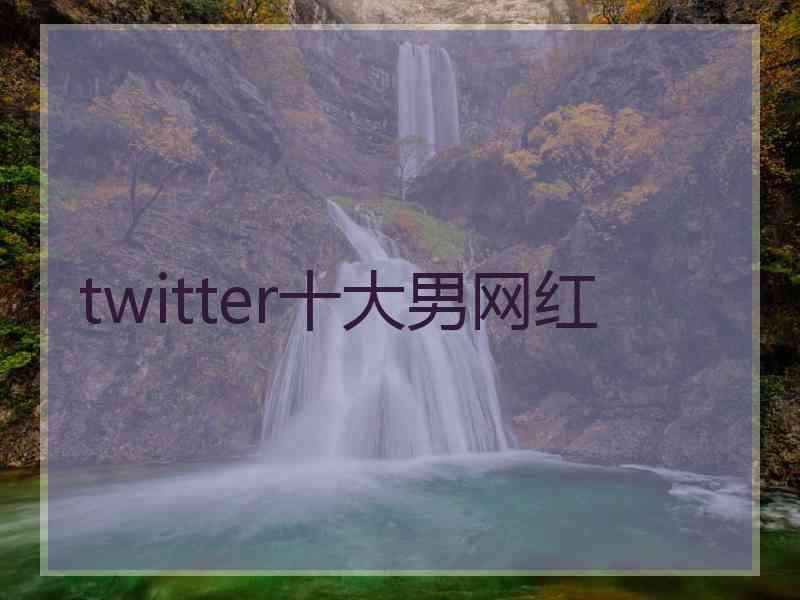 twitter十大男网红