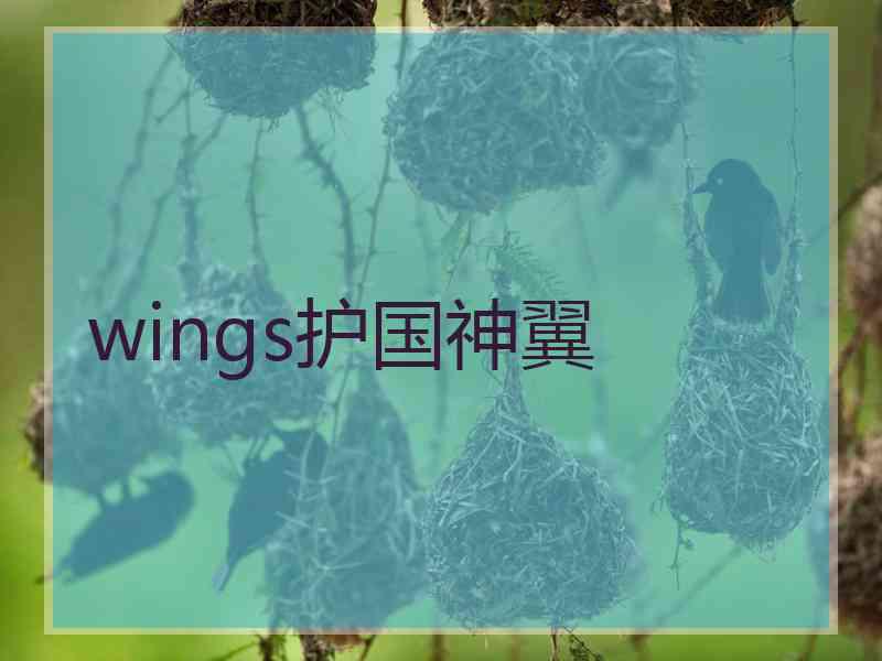 wings护国神翼