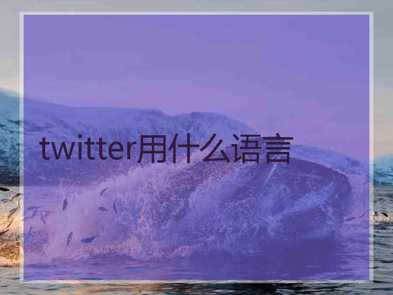 twitter用什么语言