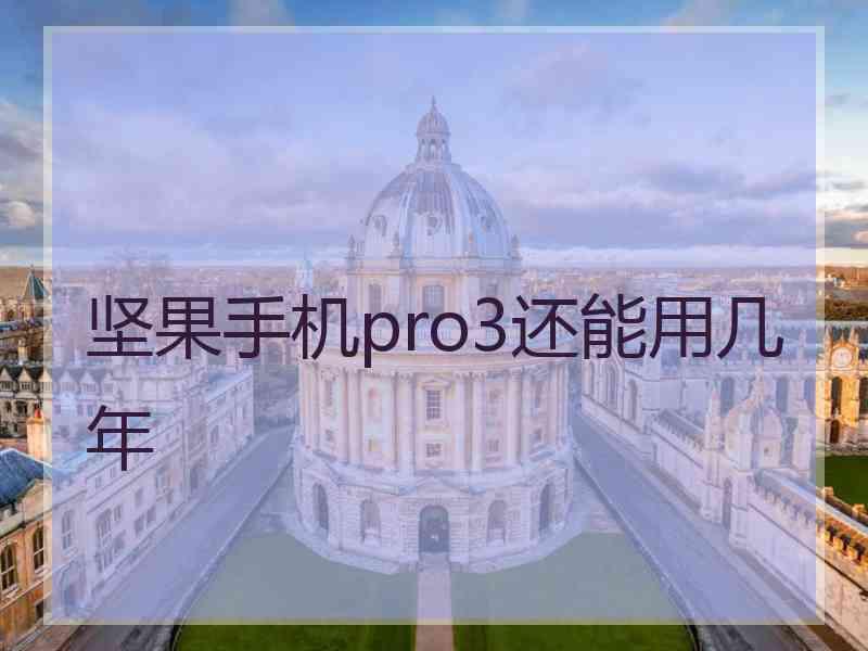 坚果手机pro3还能用几年