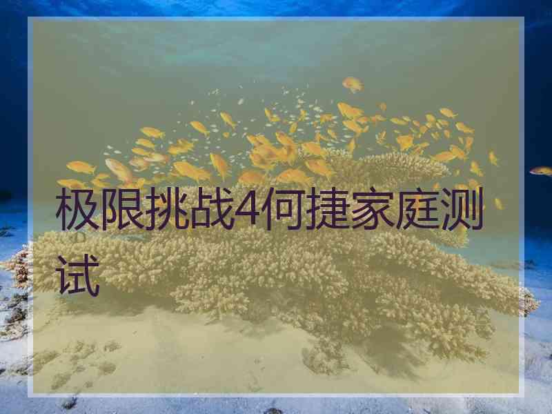 极限挑战4何捷家庭测试