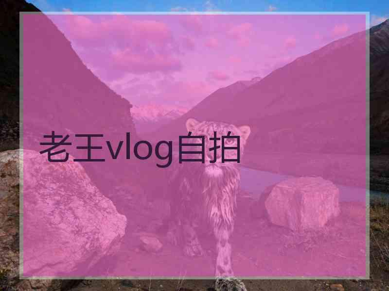 老王vlog自拍