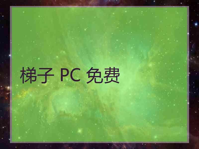 梯子 PC 免费