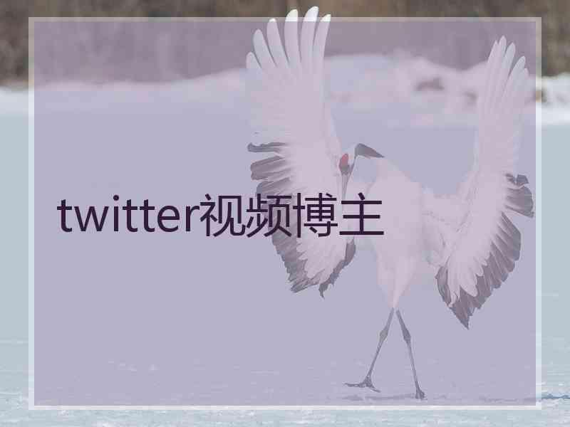 twitter视频博主