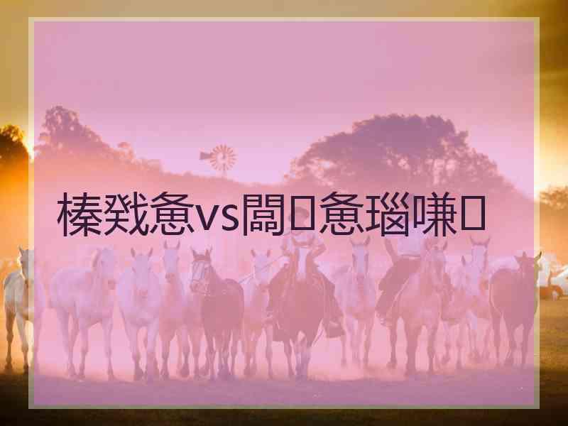 榛戣惫vs闆惫瑙嗛