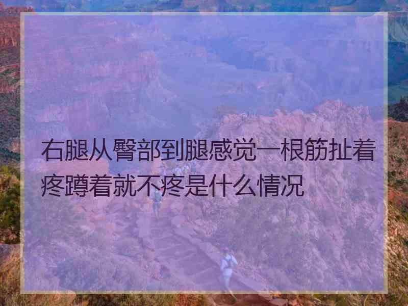 右腿从臀部到腿感觉一根筋扯着疼蹲着就不疼是什么情况