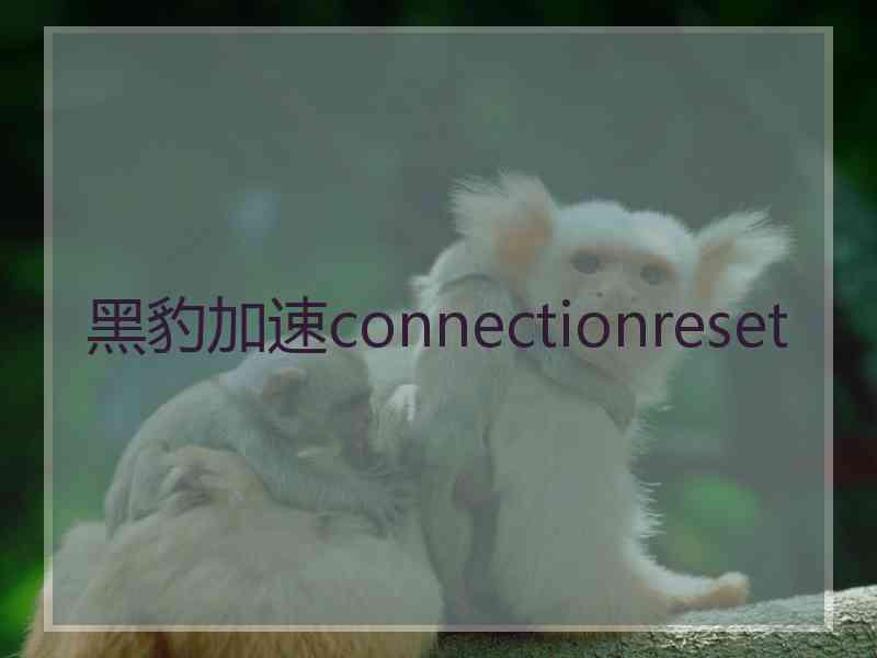 黑豹加速connectionreset