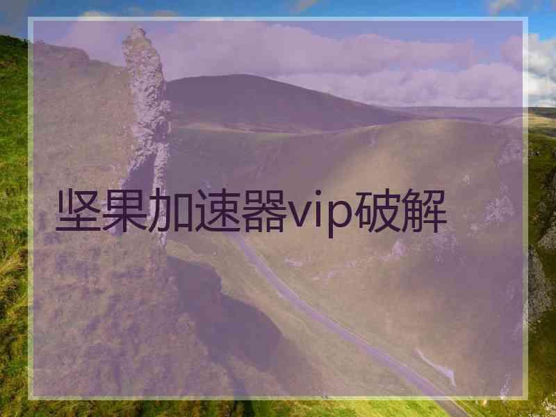 坚果加速器vip破解