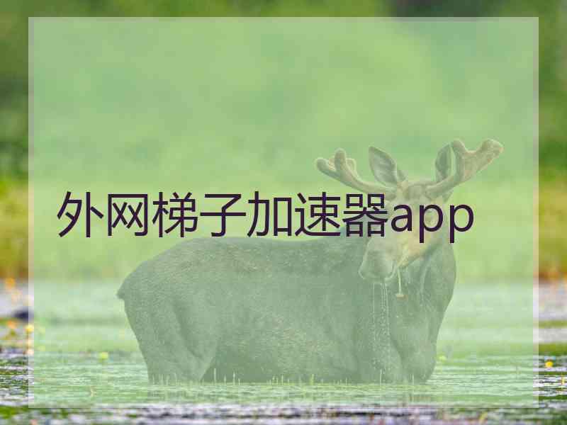 外网梯子加速器app