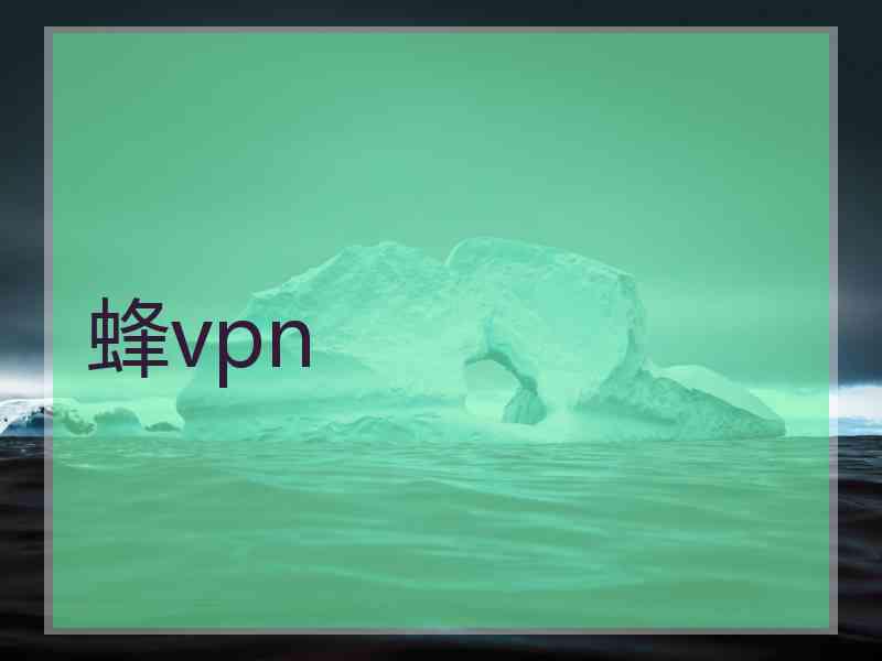 蜂vpn