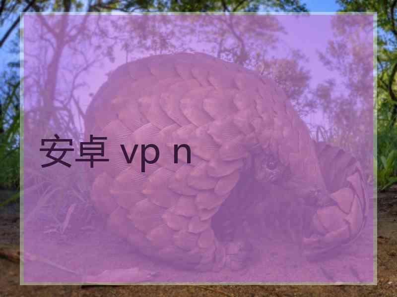 安卓 vp n