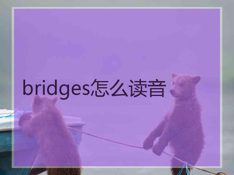 bridges怎么读音