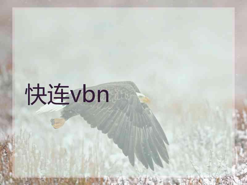 快连vbn