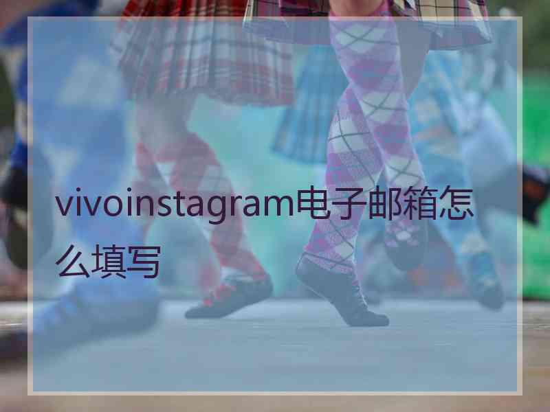 vivoinstagram电子邮箱怎么填写