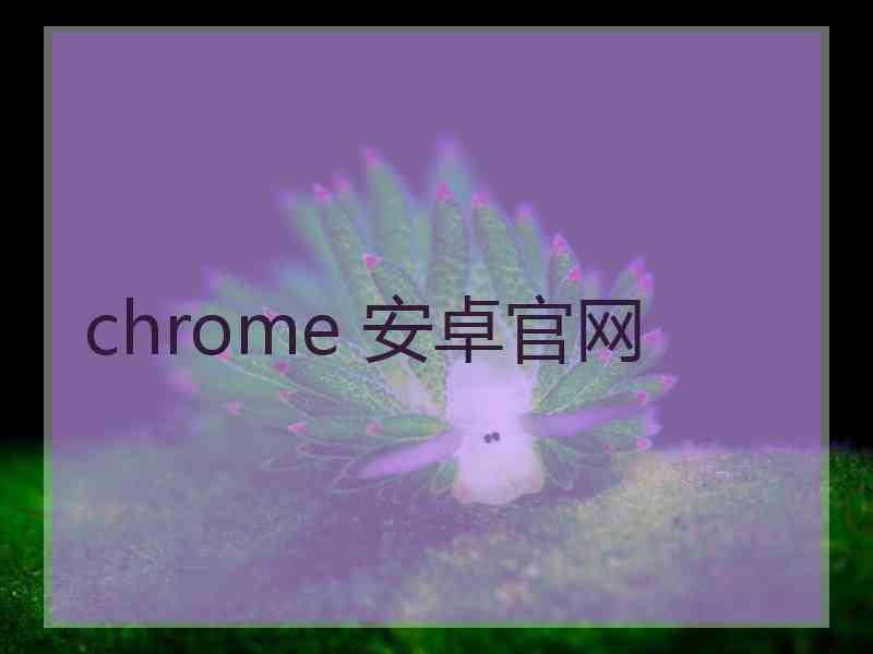 chrome 安卓官网