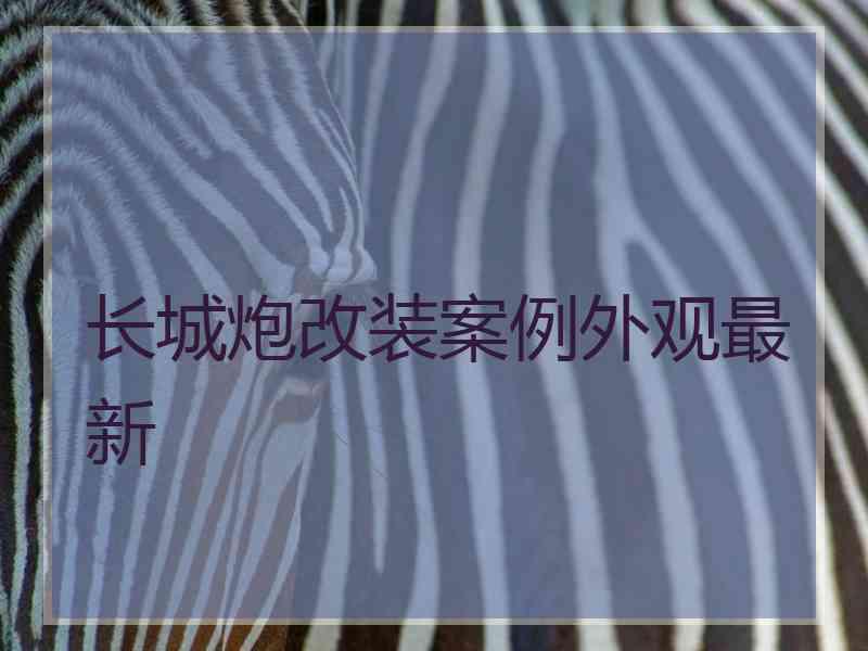 长城炮改装案例外观最新