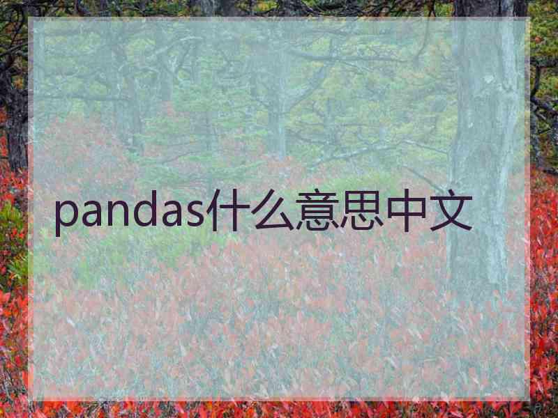 pandas什么意思中文