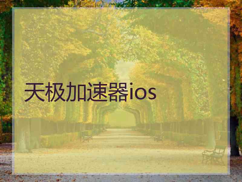 天极加速器ios