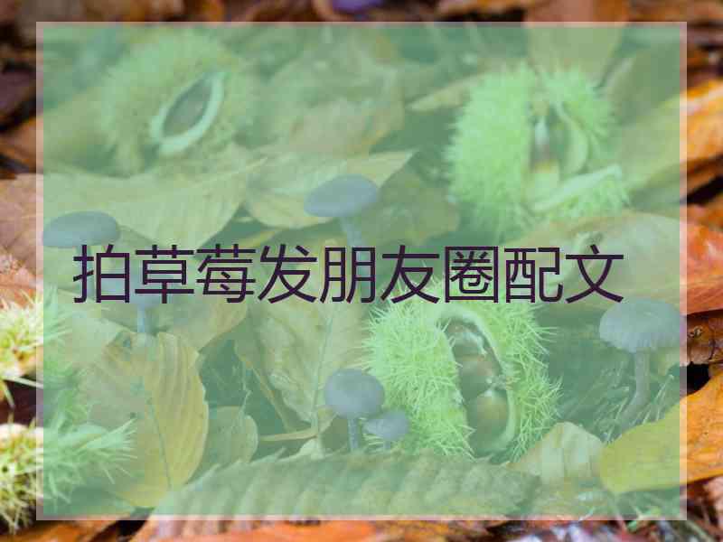 拍草莓发朋友圈配文